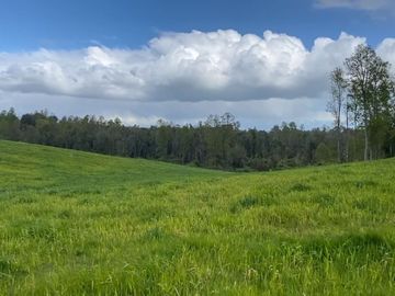Campo en venta Cerca Del Lago Ranco de 27,4 hectáreas