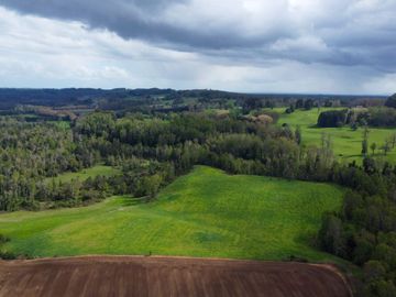 Campo en venta Cerca Del Lago Ranco de 27,4 hectáreas