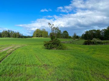 Campo en venta Cerca Del Lago Ranco de 27,4 hectáreas