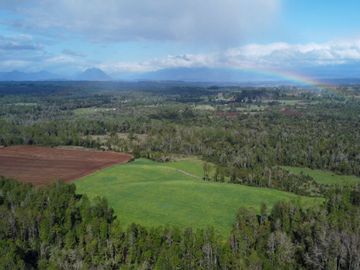 Campo en venta Cerca Del Lago Ranco de 27,4 hectáreas