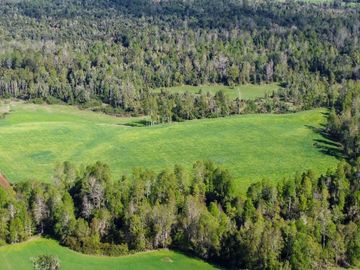 Campo en venta Cerca Del Lago Ranco de 27,4 hectáreas
