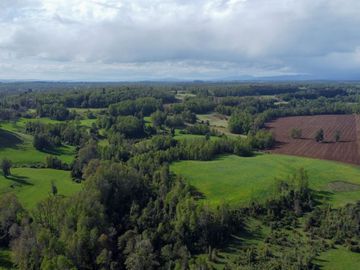 Campo en venta Cerca Del Lago Ranco de 27,4 hectáreas