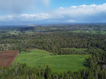 Campo en venta Cerca Del Lago Ranco de 27,4 hectáreas