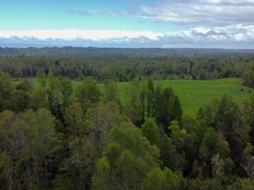 Campo en venta Cerca Del Lago Ranco de 27,4 hectáreas