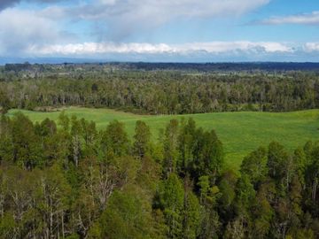 Campo en venta Cerca Del Lago Ranco de 27,4 hectáreas