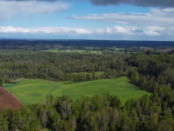 Campo en venta Cerca Del Lago Ranco de 27,4 hectáreas