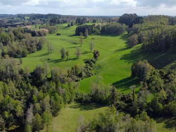 Campo en venta Cerca Del Lago Ranco de 27,4 hectáreas