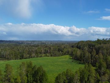 Campo en venta Cerca Del Lago Ranco de 27,4 hectáreas