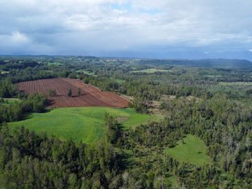 Campo en venta Cerca Del Lago Ranco de 27,4 hectáreas