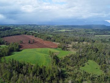 Campo en venta Cerca Del Lago Ranco de 27,4 hectáreas