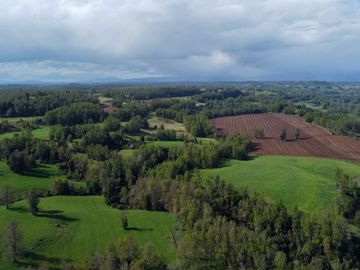 Campo en venta Cerca Del Lago Ranco de 27,4 hectáreas