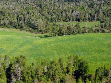 Campo en venta Cerca Del Lago Ranco de 27,4 hectáreas