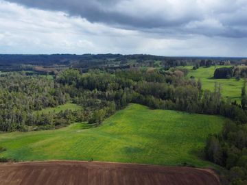 Campo en venta Cerca Del Lago Ranco de 27,4 hectáreas