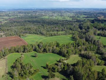 Campo en venta Cerca Del Lago Ranco de 27,4 hectáreas