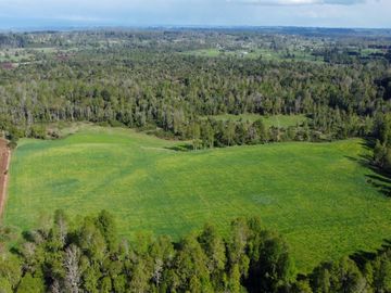 Campo en venta Cerca Del Lago Ranco de 27,4 hectáreas