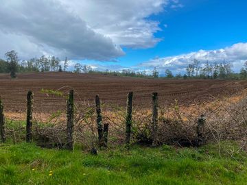Campo en venta Cerca Del Lago Ranco de 27,4 hectáreas