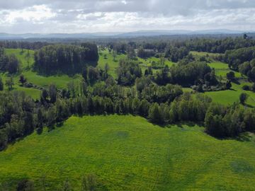 Campo en venta Cerca Del Lago Ranco de 27,4 hectáreas