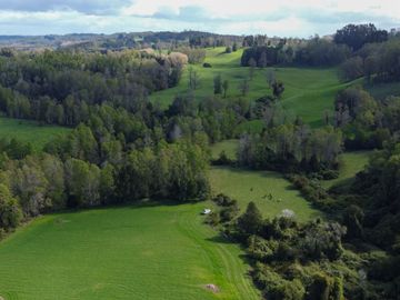 Campo en venta Cerca Del Lago Ranco de 27,4 hectáreas