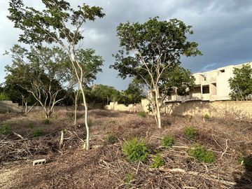 Terreno en venta en Cholul en Mérida Yucatán zona norte