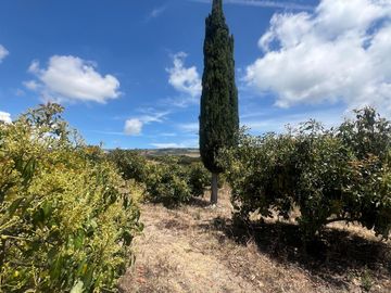Mira - Carchi - De Venta Hermosa Finca Aguacatera con Casa Moderna de 500m2