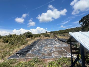Mira - Carchi - De Venta Hermosa Finca Aguacatera con Casa Moderna de 500m2