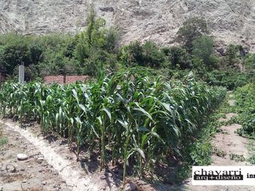 HERMOSO TERRENO EN LUNAHUANA ANEXO CATAPALLA A PIE DE CERRO