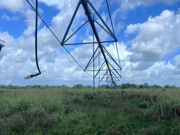 RANCHO GANADERO EN VENTA DE 202 HAS CON ORILLA DE CARRETERA EN LA ZONA DE BUCTZOTZ Y SUCILA.