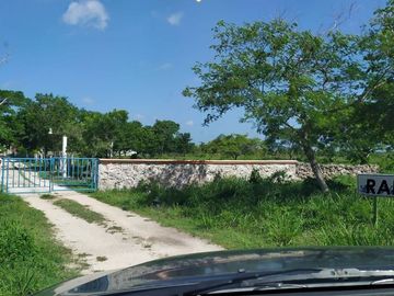 RANCHO GANADERO EN VENTA DE 202 HAS CON ORILLA DE CARRETERA EN LA ZONA DE BUCTZOTZ Y SUCILA.