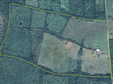 RANCHO GANADERO EN VENTA DE 202 HAS CON ORILLA DE CARRETERA EN LA ZONA DE BUCTZOTZ Y SUCILA.