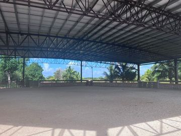RANCHO GANADERO EN VENTA DE 202 HAS CON ORILLA DE CARRETERA EN LA ZONA DE BUCTZOTZ Y SUCILA.