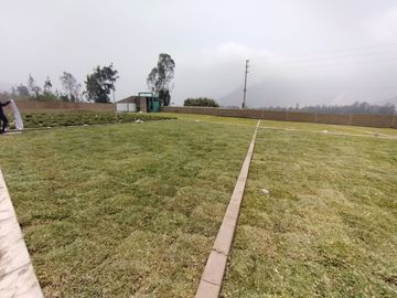TERRENOS DESDE 233 M2 CON TODOS LOS SERVICIOS EN CIENEGUILLA - A 5 MINUTOS DEL ÓVALO