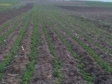 Terrenos en Huancayo 20,000 m2