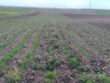 Terrenos en Huancayo 20,000 m2