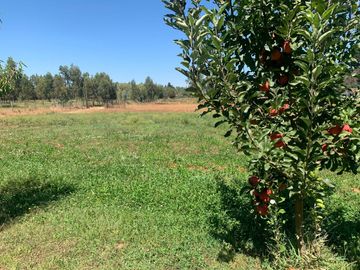 Se vende parcela 7.430 m2 con casa en Pelarco