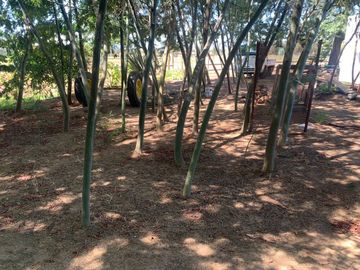 Se vende parcela 7.430 m2 con casa en Pelarco