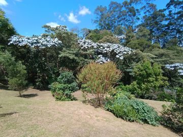 One Of A Kind Mediterranean Style Home In Countryside of Tablazo, Rionegro
