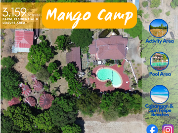 RUSH SALE! 3 hectare private farm residential leisure property for sale in Zambales for only 60M