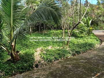 Lot for Sale in Tanay Rizal - Garden Cottages