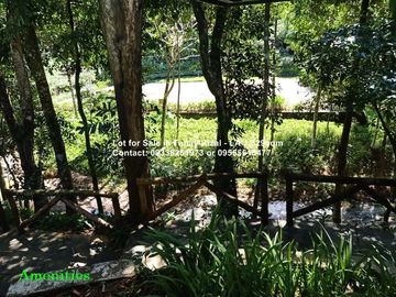 Lot for Sale in Tanay Rizal - Garden Cottages