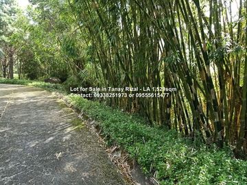 Lot for Sale in Tanay Rizal - Garden Cottages
