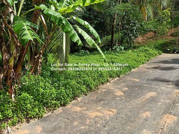 Lot for Sale in Tanay Rizal - Garden Cottages