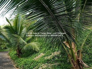 Lot for Sale in Tanay Rizal - Garden Cottages