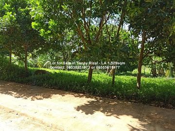 Lot for Sale in Tanay Rizal - Garden Cottages