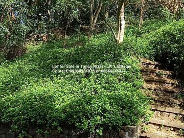Lot for Sale in Tanay Rizal - Garden Cottages