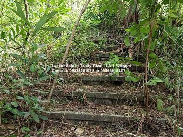 Lot for Sale in Tanay Rizal - Garden Cottages