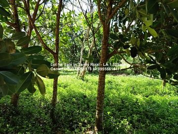 Lot for Sale in Tanay Rizal - Garden Cottages