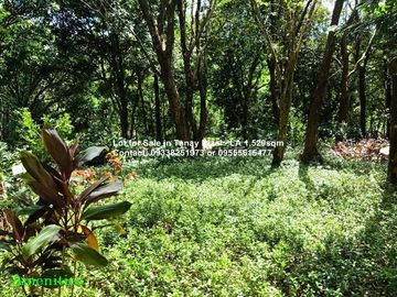 Lot for Sale in Tanay Rizal - Garden Cottages