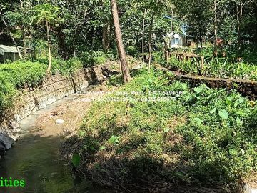 Lot for Sale in Tanay Rizal - Garden Cottages