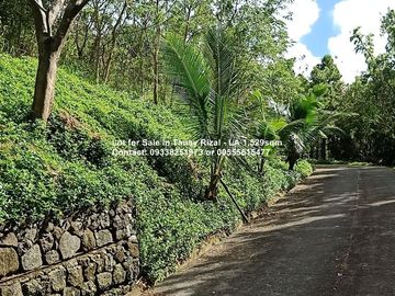 Lot for Sale in Tanay Rizal - Garden Cottages