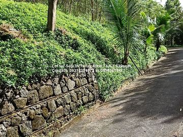 Lot for Sale in Tanay Rizal - Garden Cottages